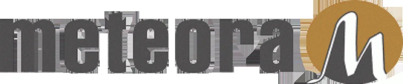 Meteora: The $1 Billion Valuation and What You're *Not* Being Told